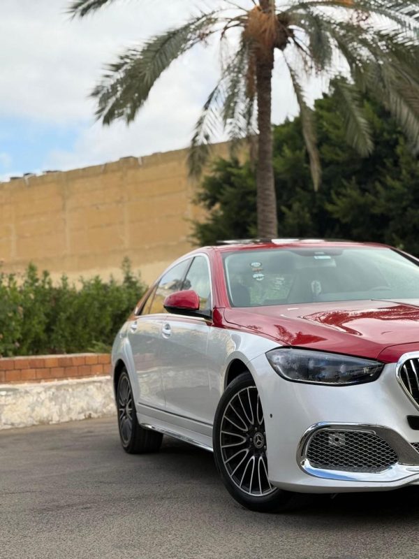 سيارة VIP — الهرم الرابع — 21